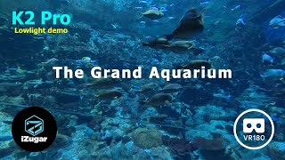 Immerse in the Grand Aquarium at the Ocean Park (VR180)