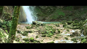 Project X - Release The Magic - Intro video 2015