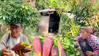 A Farmer Went To Search Wild Vegetables For Survival | Village Life | @achenvlogs by Achen Vlogs 5,026 views 1 month ago 15 minutes