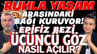 Ruhla Yaşam Arasındaki Bağı Kuruyor Epifiz Bezi Üçüncü Göz Nasıl Açılır?