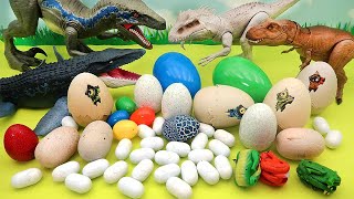 Dinosaur Egg Collection!  Jurassic World Egg, Mini Dino Egg, Transformer Egg