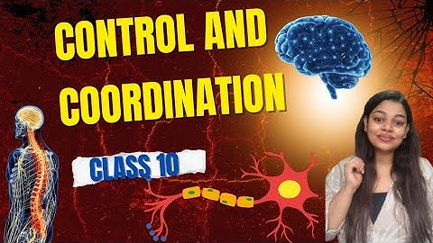 Control and Coordination Class 10 (Part 1) | Stimulus, Response, Receptor & Effector Explained