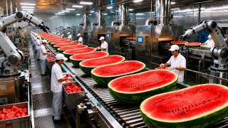 Inside Giant Watermelon Processing Factory 🍉 | Amazing Watermelon Production Process