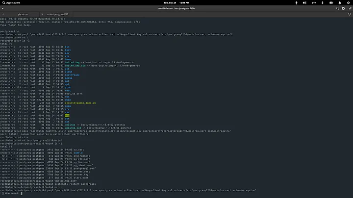 Postgres SSL and Certificate Connection Settings