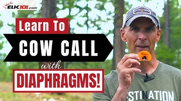 How to Cow Call with Diaphragm Elk Calls
