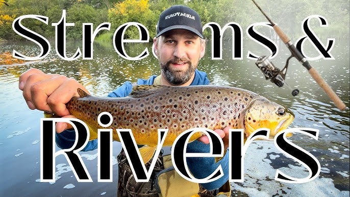 The Ultimate Guide to SPINNER FISHING for Trout in Streams & Rivers 