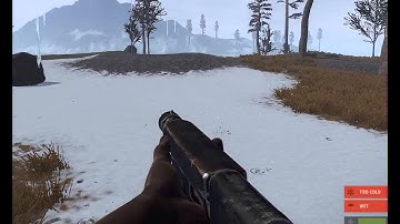 RUST Devblog 85/2