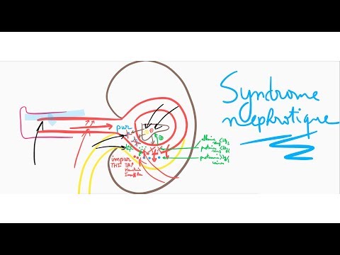 Vidéo: Est-ce une néphrite ou une néphrose ?