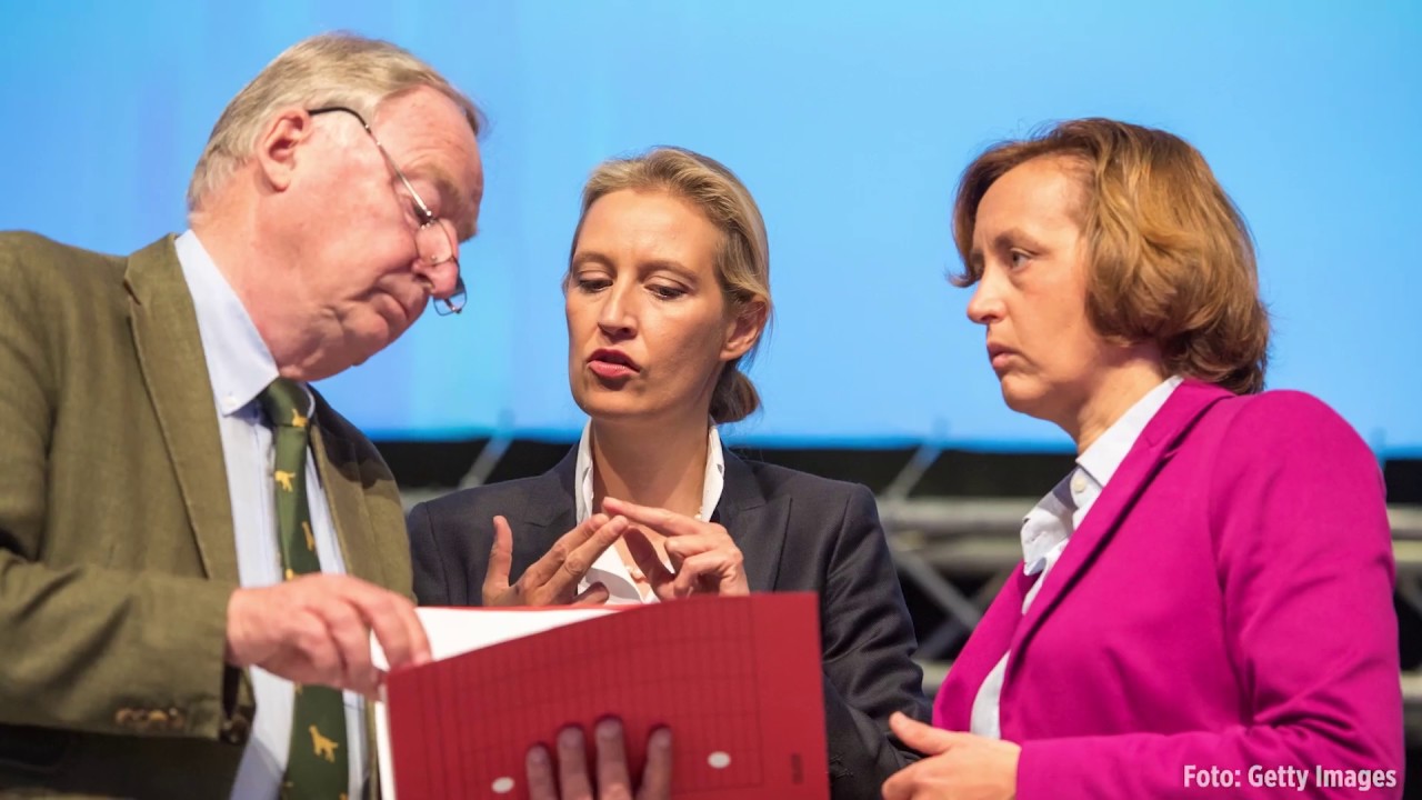 Nach Stauffenberg-Aussage – Gauland für Ausschluss von AfD-Politiker Lars Steinke deutschland auto