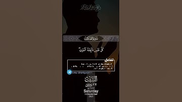 اكتب شيء تؤجر عليه باذن الله 🩶😴 #القارئ_عبدالرحمن_مسعد #karim_quran_1