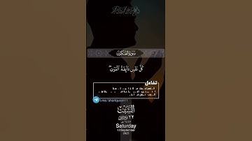 اكتب شيء تؤجر عليه باذن الله 🩶😴 #القارئ_عبدالرحمن_مسعد #karim_quran_1