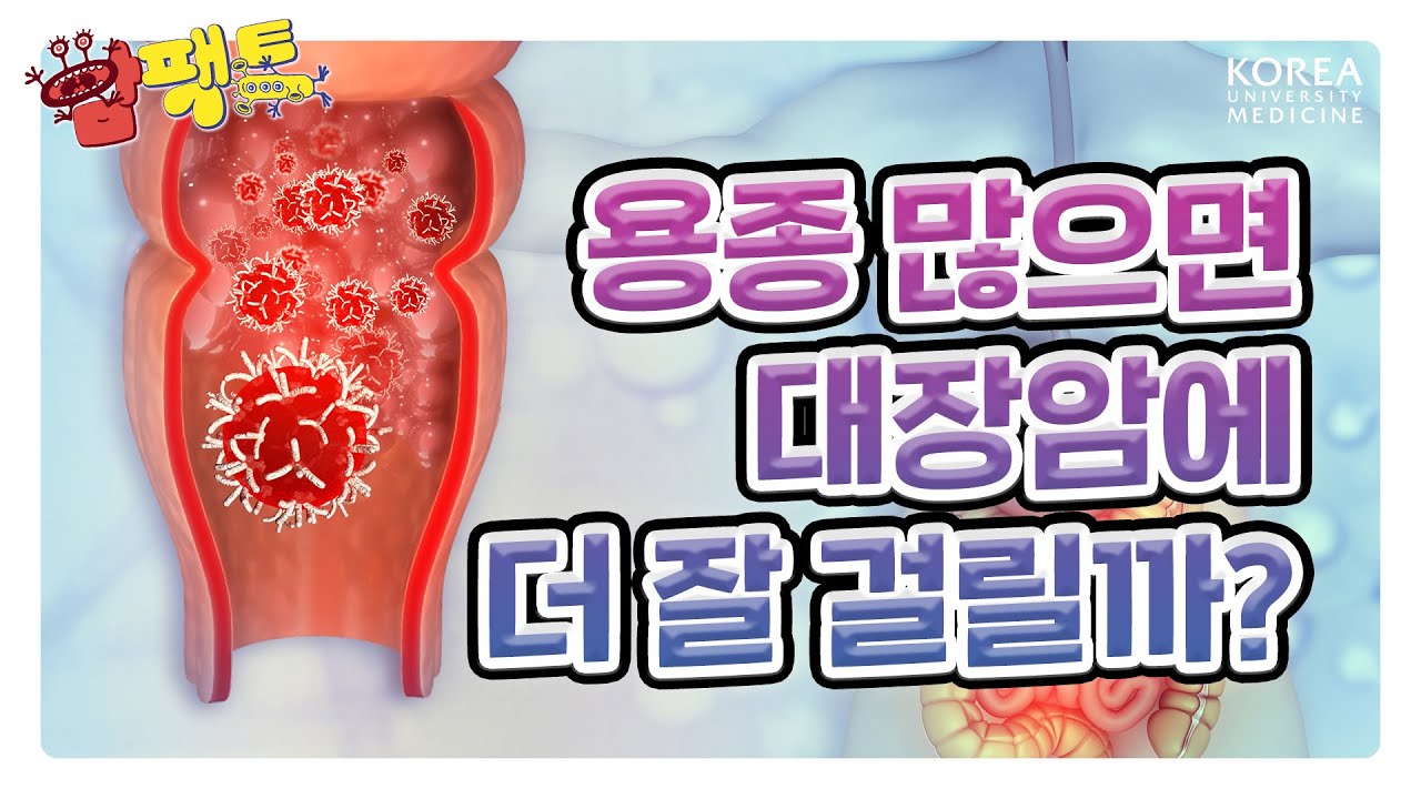대장내시경 했는데 용종발견?!🫨 | 대장암에 대한 팩트체크! [암팩트🍄]