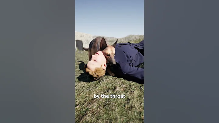 The Hero War Dog 😮