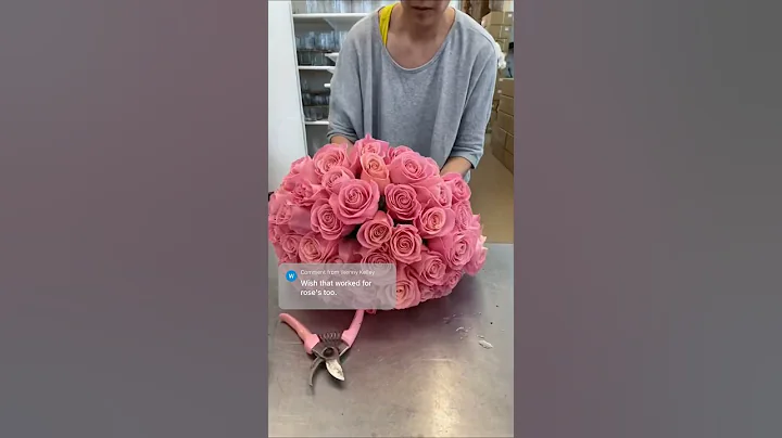 Subscribe to learn easy techniques of floral arranging. Here’s a basic rose bouquet making lesson - DayDayNews