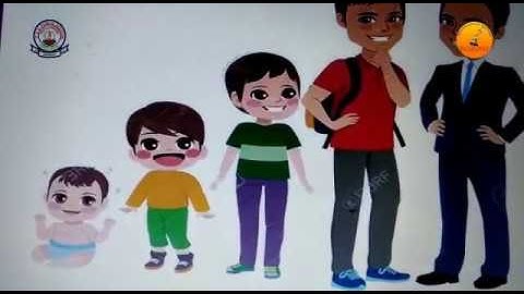 Class 3|S.STD|Lesson 2|Family Similarities|Part 2|By Roseline David