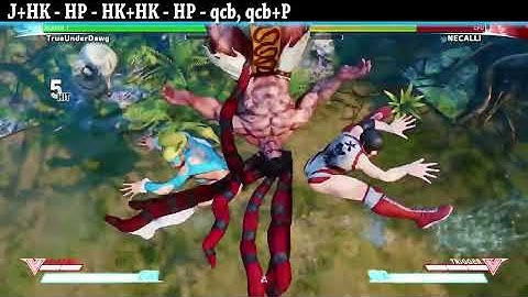 R. MIKA COMBO GUIDE - Street Fighter V - Easy to Advanced [HD 60fps]