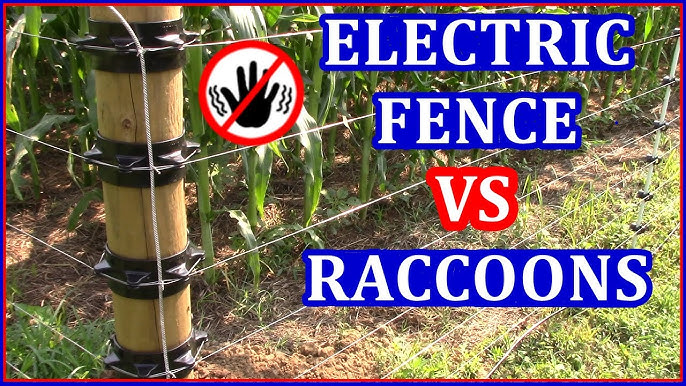 Timeless Tip How to run a jumper wire on electric fence 