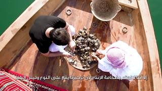 Al Suwaidi Pearls Farm - مزرعة لآلئ السويدي