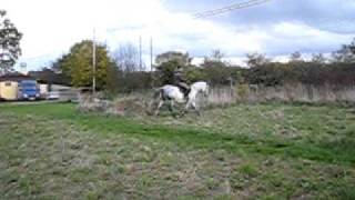 MVI_5714.AVI