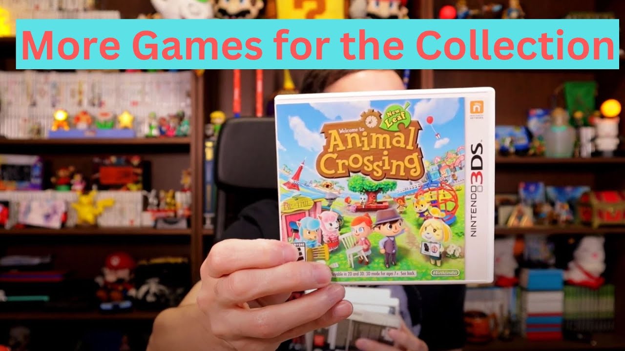3DS Game Hunting and Collecting 19 YouTube