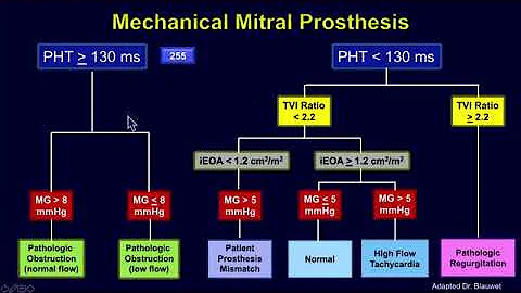 Echocardiographic Evaluation of Mitral Valve Prostheses