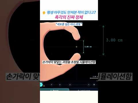 손가락은 닿은 적이 없다? 촉각의 진짜 정체