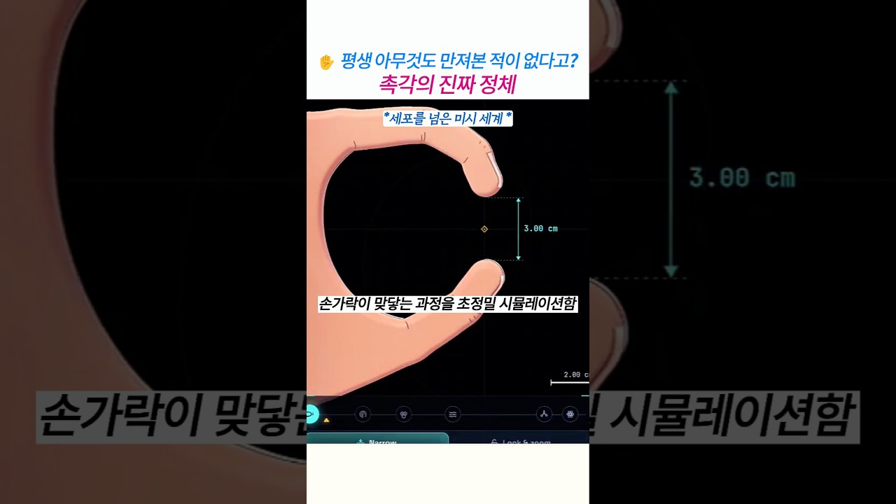 손가락은 닿은 적이 없다? 촉각의 진짜 정체