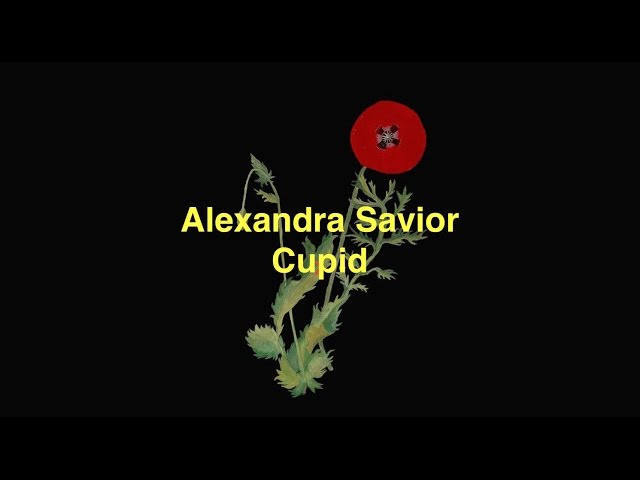 Alexandra Savior - Cupid