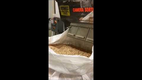 Spectrum model S4001 Color Sorter for Nuts and Seeds