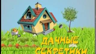Дачные секретики от 17.08.2017г.