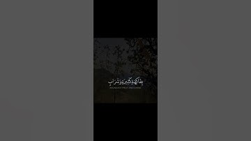 القارئ محمد اللحيدان..تلاوه بديعه(جنات عدن مفتحه لهم الابواب)