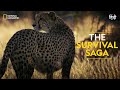 The survival saga  savage kingdom    full episode  s3e2  national geographic