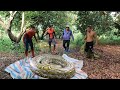 Part 5: Spider-Man cooperates with hunter to help the boy escape from 3 giant snakes