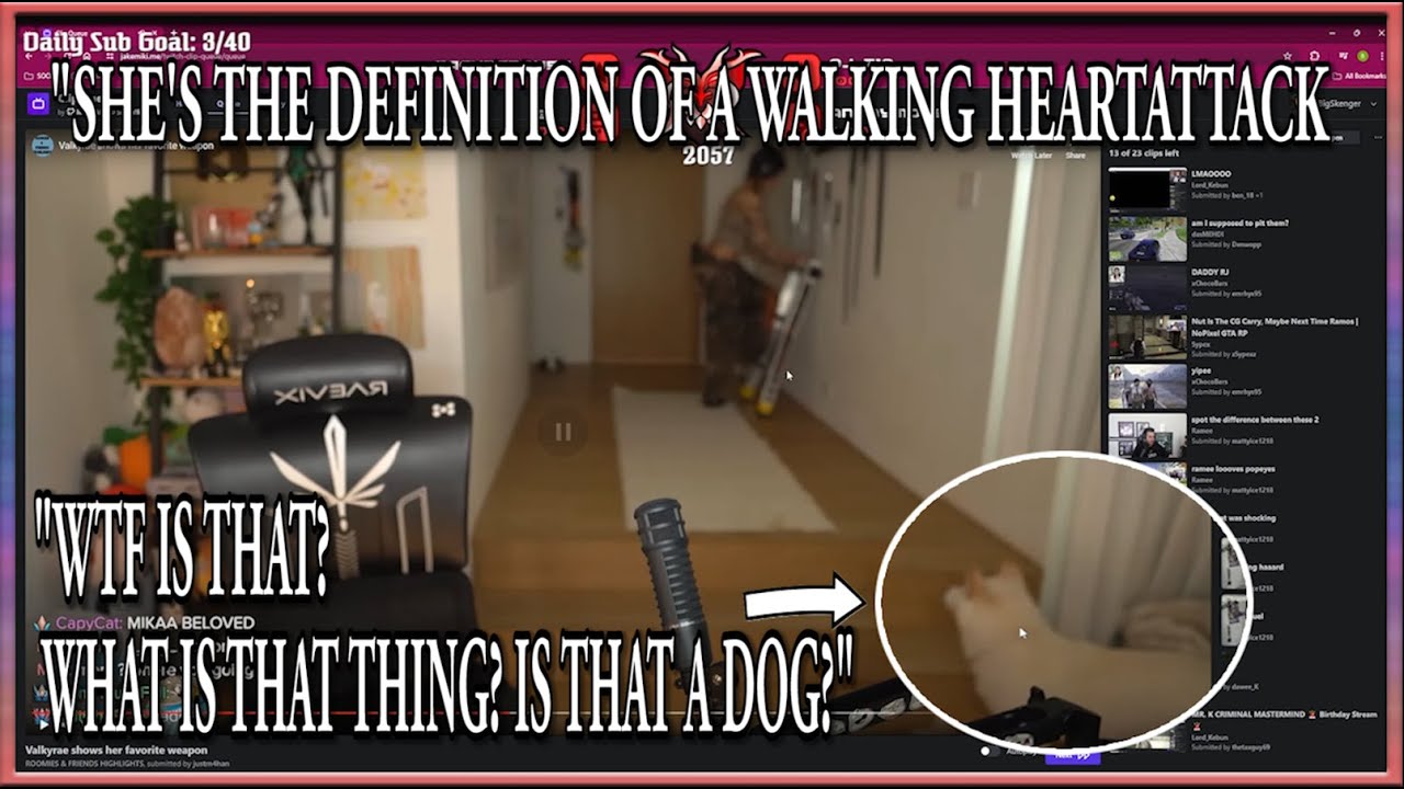 BigSkenger (Zaceed) чуть не получил сердечный приступ, отреагировав на любимое оружие Валькирии.