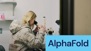 Unlocking a decade-old antibiotics resistance problem with AlphaFold - Google DeepMind