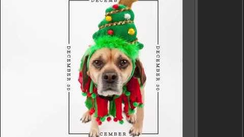 Using a Frame Within a Photo in Photoshop and PSE