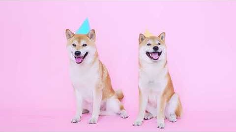 Discord TipBot Cryptocurrency Promotional Video #2 (2020) [Outdated]