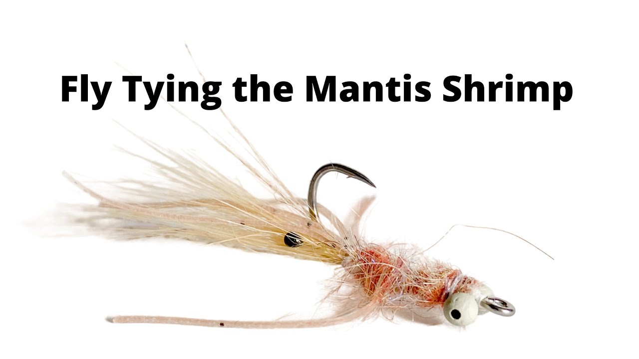 Fly Tying the Mantis Shrimp - For bonefish, triggerfish, and even