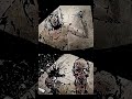 Grab a key voucher for Deadlight Director's Cut!