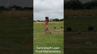 1 Billion $ Lawn Grass Industry in Indian Economy #agriculture #lawncare #farming #lawngrass