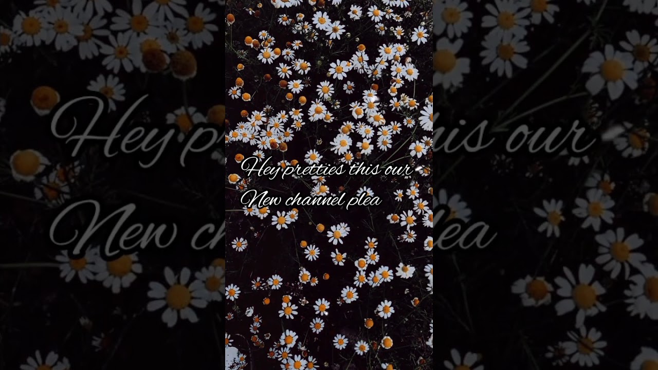 👋🏻hello this our new channel please subscribe and support💗🤞🏻@blossomdaisy-z1l