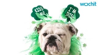 Movies To Celebrate St. Patrick's Day