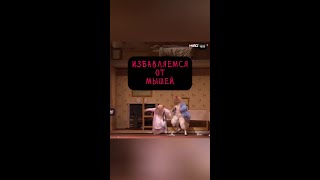 как защитить сад от грызунов