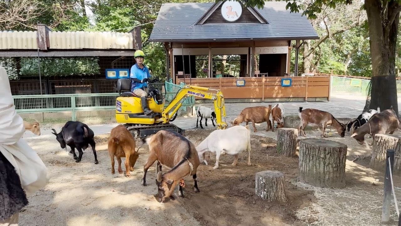 動物園レポート｜コマツカスタマーサポート株式会社 | コマツ