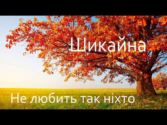 Шикайна - Це Твоя любов