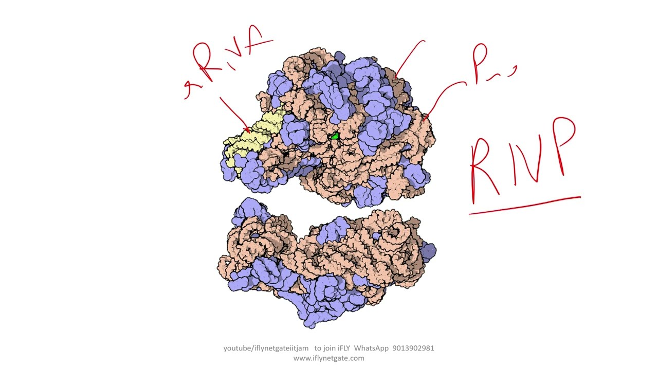 CUET PG 2022 PGQP22 LIFE SCIENCE QUESTION PRACTICE  part 1