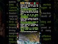 Mangroves are salt‑tolerant trees that grow in tidal zones of tropical and subtropical coasts.