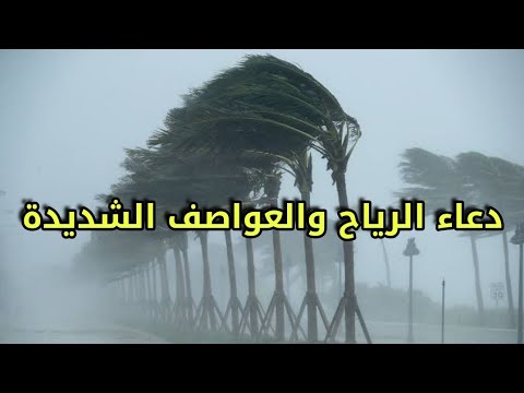 فيديو: هل تهب الرياح السائدة في كل وقت؟