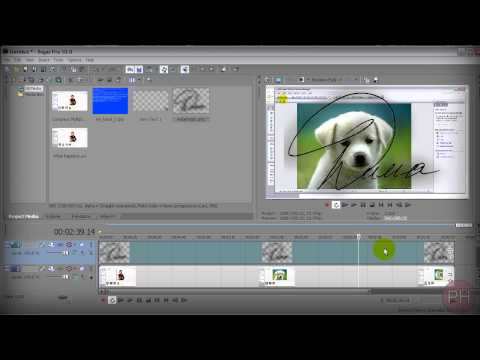 Sony Vegas How To Add Watermark To Video [Tutorial 12]