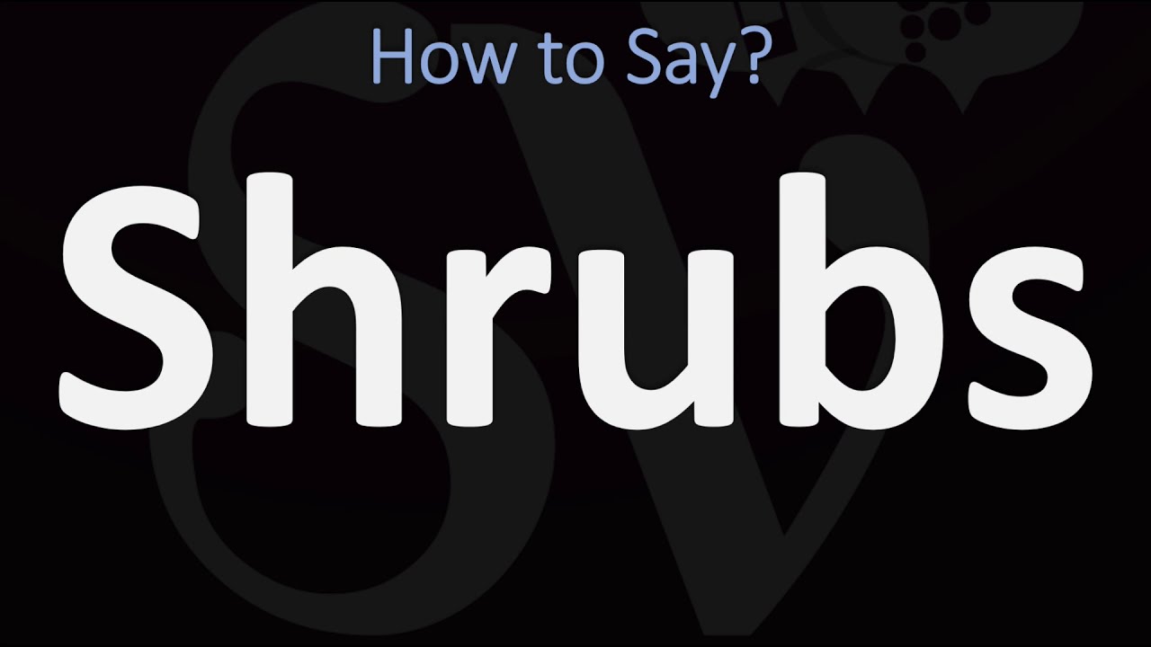 How to Pronounce SHRUBS? (CORRECTLY) YouTube